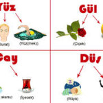 Zıt Anlamlı Kelimeler - Kelime Sözlüğü ve Tablosu