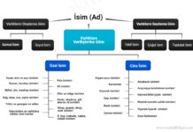 Özel İsim ve Cins İsim Özel İsim ve Cins İsim Kavram Haritası