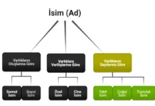 Tekil İsim, Çoğul İsim ve Topluluk İsimleri Tekil İsim, Çoğul İsim ve Topluluk İsimleri