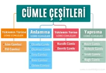 Cümle Çeşitleri Cümle Çeşitleri Kavram Haritası