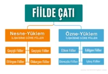 Fiilde Çatı Fiilde Çatı Kavram Haritası