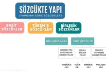 Sözcükte Yapı: Basit, Türemiş ve Birleşik Sözcükler Sözcükte Yapı Kavram Haritası