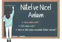 Nicel ve Nitel Anlamlı Kelimeler Nicel Anlam ve Nitel Anlamlı Kelimeler